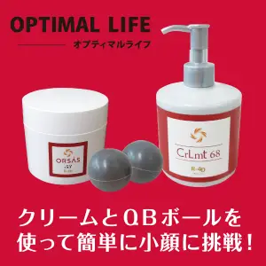 ORSAS53-R4D 購入サイト